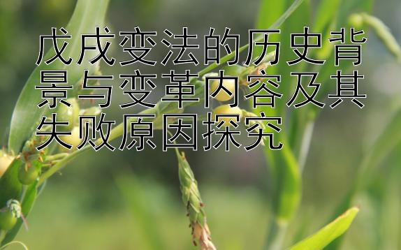 戊戌变法的历史背景与变革内容及其失败原因探究