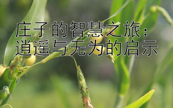 庄子的智慧之旅：逍遥与无为的启示