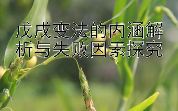 戊戌变法的内涵解析与失败因素探究