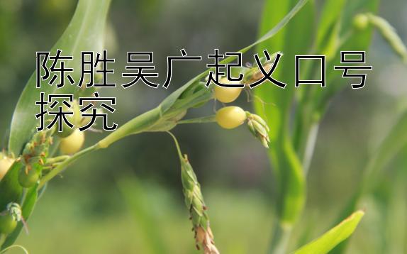 陈胜吴广起义口号探究