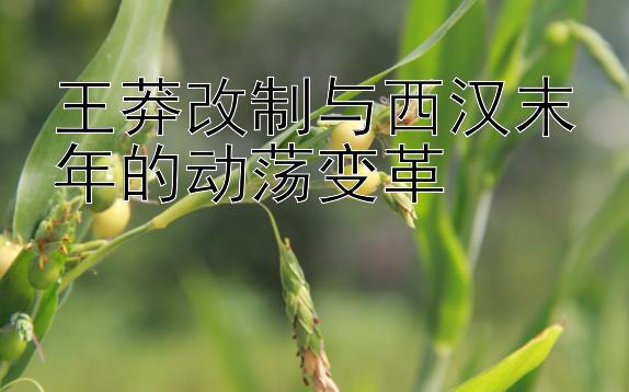 王莽改制与西汉末年的动荡变革