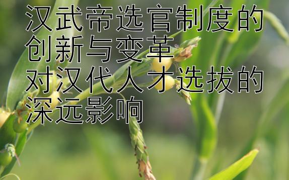 汉武帝选官制度的创新与变革  
对汉代人才选拔的深远影响